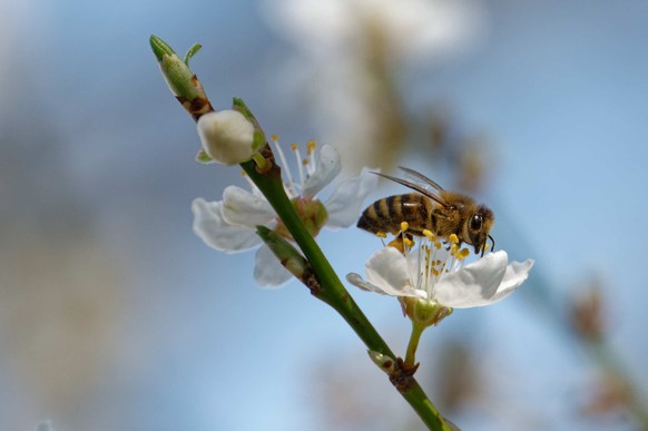 18.03.2023, Nordrhein-Westfalen, K