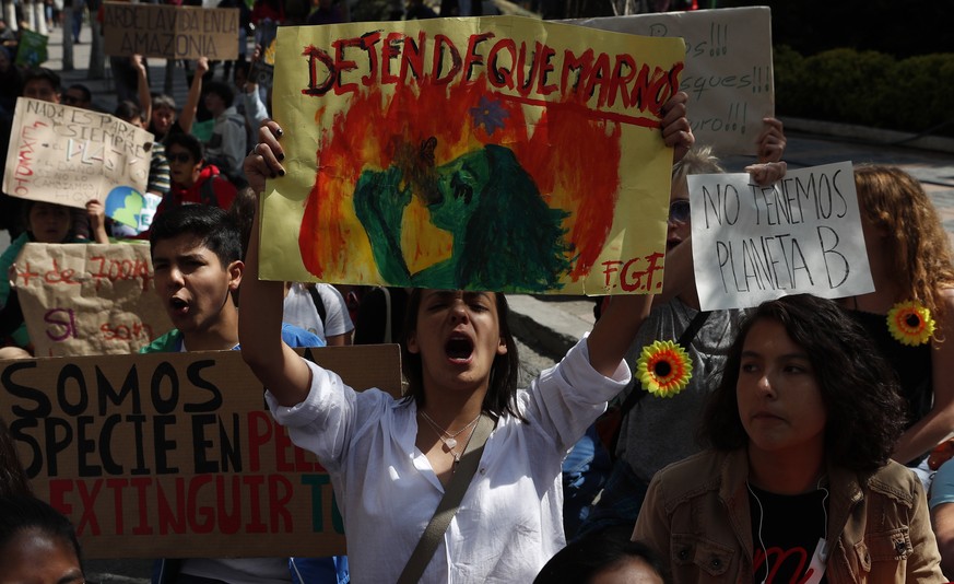 A woman chants slogans against the recent forest fires, holding a sign with a message that reads in Spanish: &quot;Stop burning us,&quot; during a global protest on climate change in La Paz, Bolivia,  ...