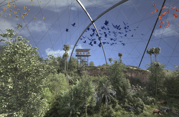 Pantanal Voliere Zoo Zürich