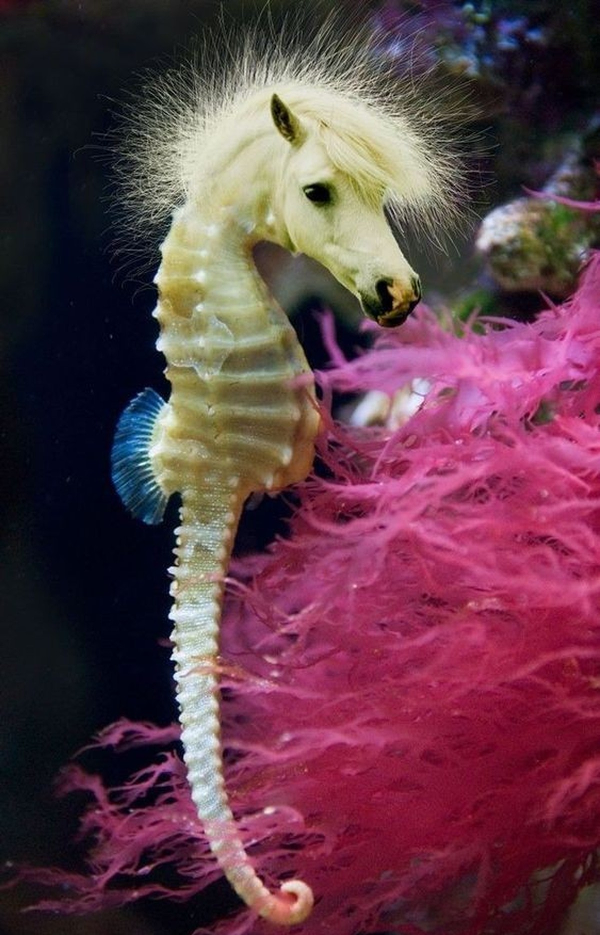 cute news photoshop

https://ch.pinterest.com/pin/1121888957171363525/