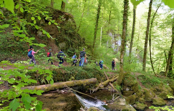 Rauszeit Schluchtenwanderungen Chaltbrunnen