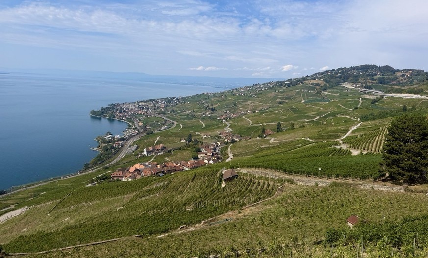 Mont Pèlerin Vevey Lavaux Weinterrassen Epesse Dézaley