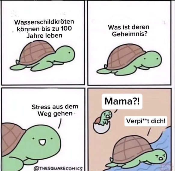 Picdump 150 вЂ“ To Do heute: Memes anschauen! \nBlackdump рџ–¤