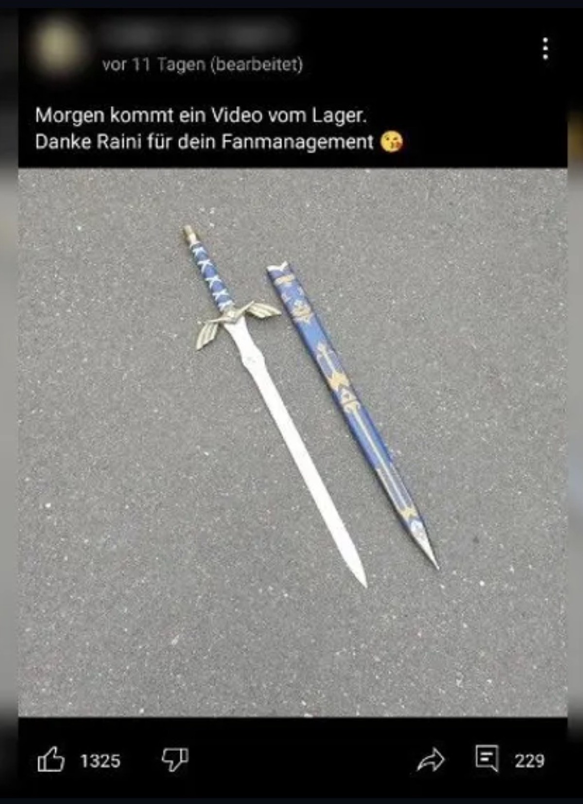 "Fanmanagement": Die Umschreibung eines offenbar beteiligten Haiders dafür, sich aus Rainer Winklers Eigentum dessen Masterschwert zu stehlen.