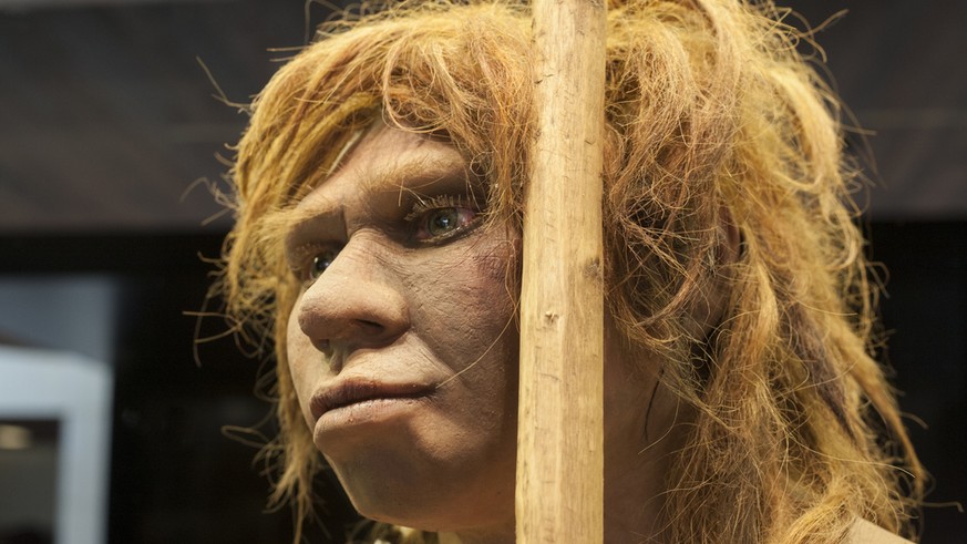 Rekonstruktion einer Neandertaler-Frau. Die Neandertaler starben vor etwa 40'000 Jahren aus. 