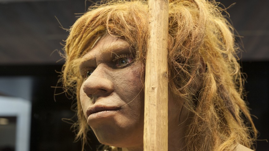 Neandertaler-Frau 
Madrid, Spain - November 11, 2017: Life-sized sculpture of Neanderthal female at National Archeological Museum of Madrid