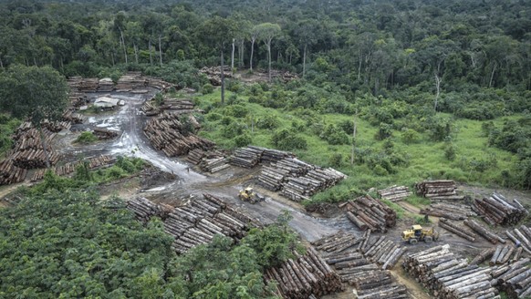 Die Abholzung des Regenwaldes in Brasilien nimmt immer rasanter zu. Im Archiv-Bild eine illegal gerodete Fläche.