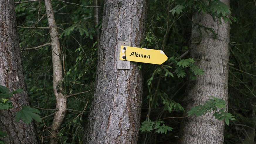 ZUR SDA-SOMMERSERIE AUTOREN UND IHRE LIEBLINGSWANDERUNG STELLEN WIR IHNEN HEUTE, MITTWOCH, 5. JULI 2017, FOLGENDES BILDMATERIAL DER WANDERUNG VON SCHRIFTSTELLER ROLF HERMANN ZUR VERFUEGUNG --- A hik ...