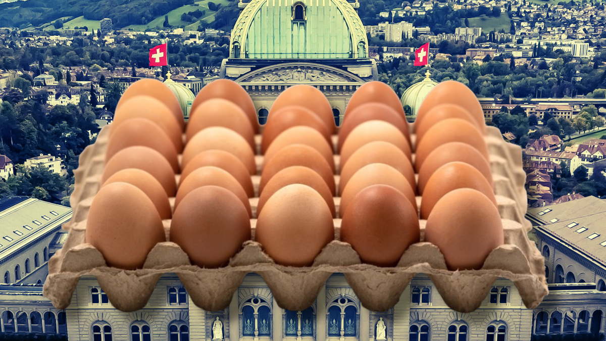 Pénurie d'oeufs: la Confédération prend des mesures
