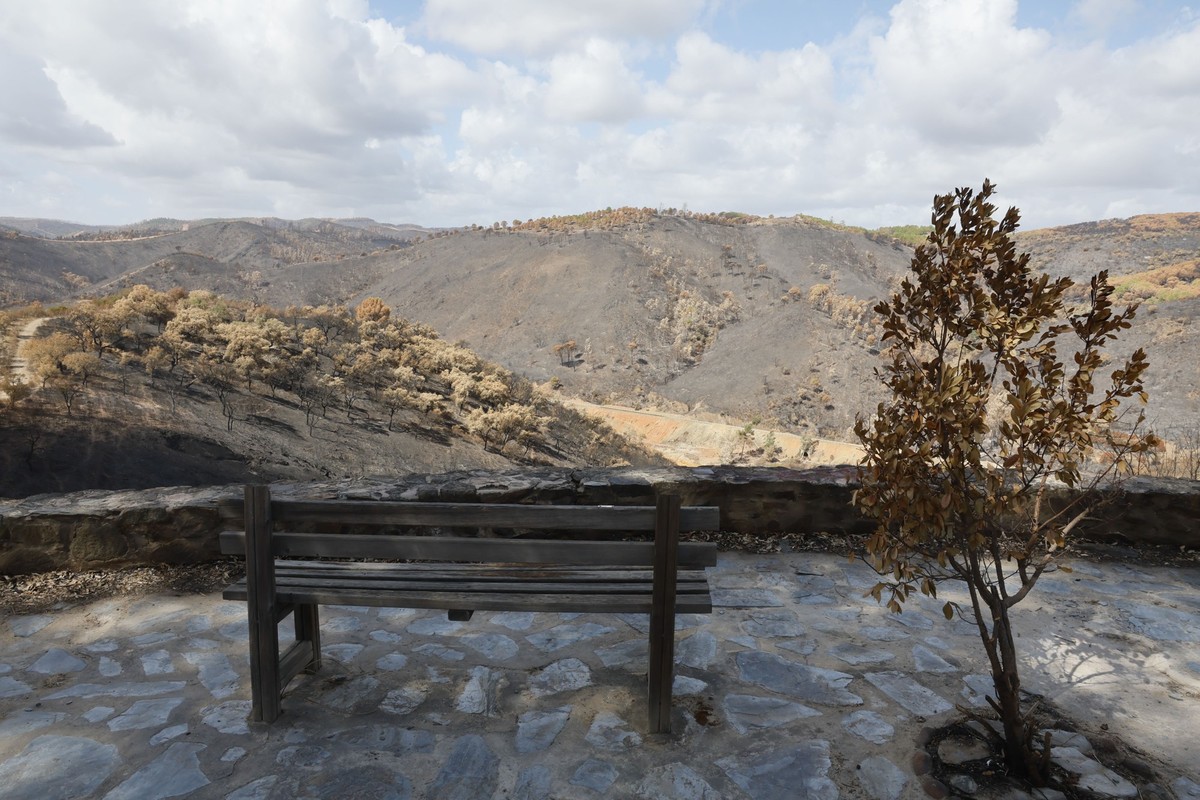 epa13188522 A view of scorched vegetation from a viewpoint in the Sierra de Berrocal (Huelva), Spain, 24 August 2026. The town of Berrocal has been severely affected by the fire in Niebla (Huelva), wh ...