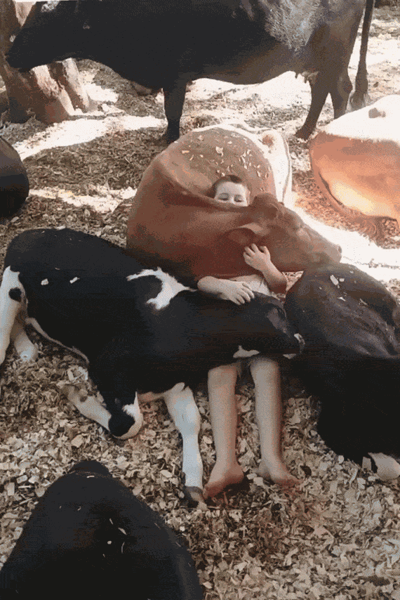 Animiertes GIF