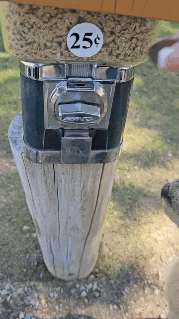 Animiertes GIF