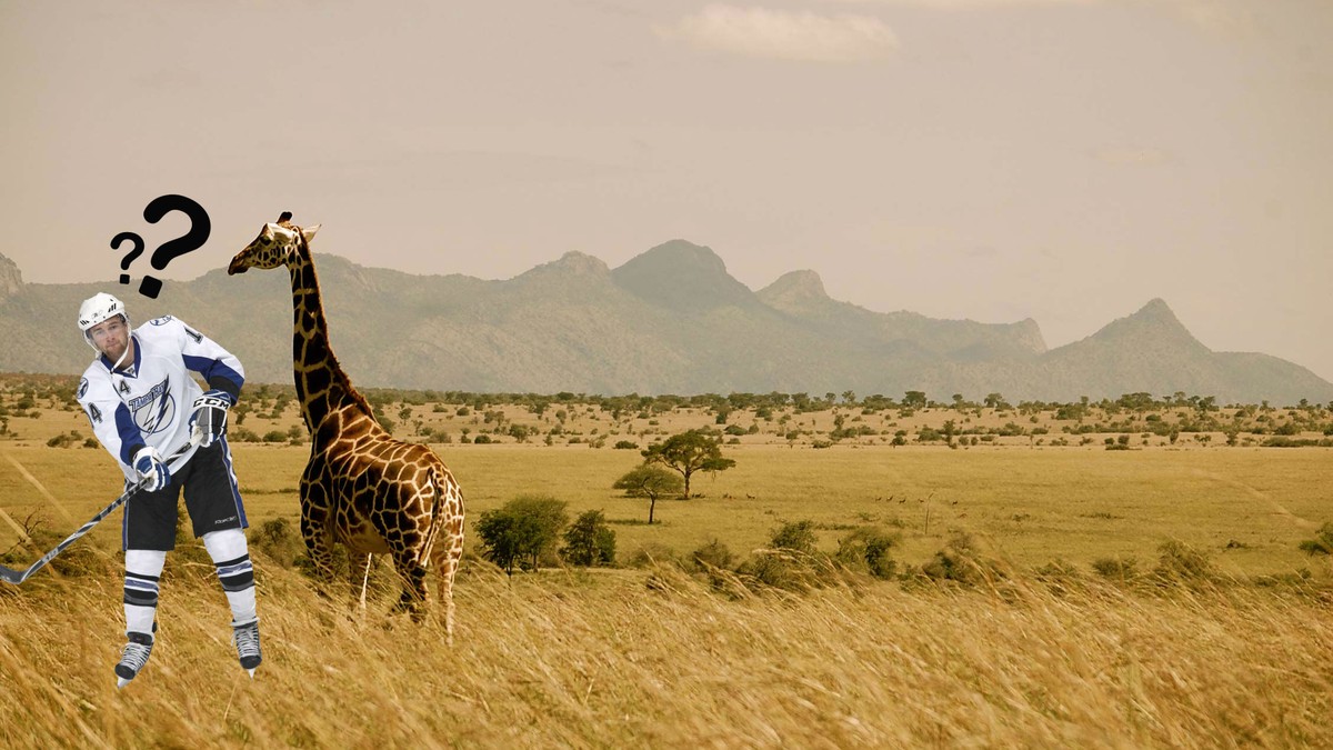 NHLDraftQuiz Hast du das Zeug zum Erstrundendraft oder landest du in Uganda?