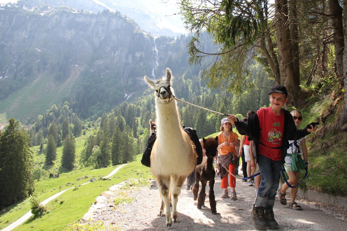 Märchenhotel Braunwald Rauszeit Schlafen mit Tieren