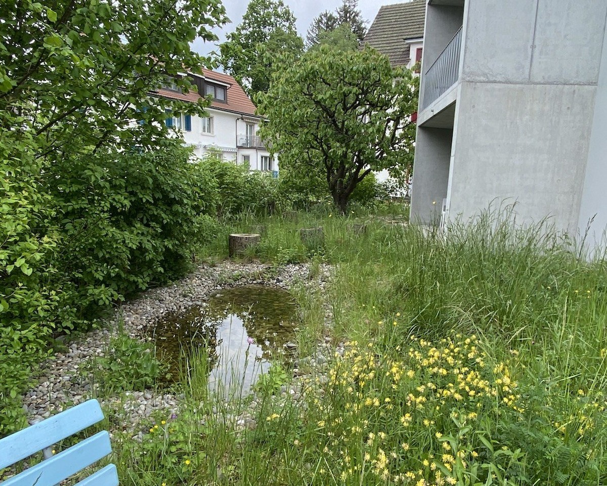 Wasserstelle Garten Biodiversität