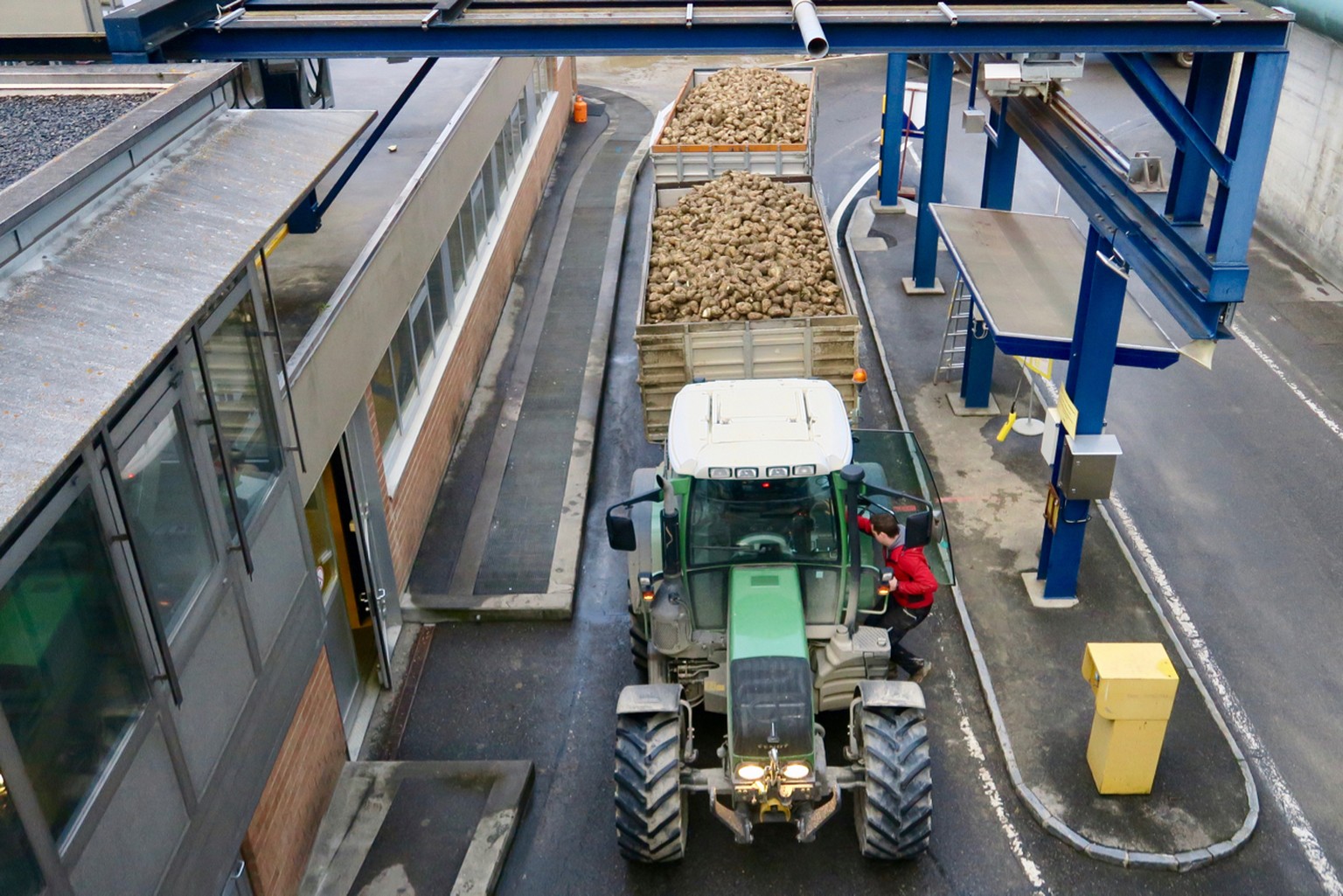 Landwirte bringen die geernteten Zuckerrüben in die Zuckerfabrik Aarberg (BE).
