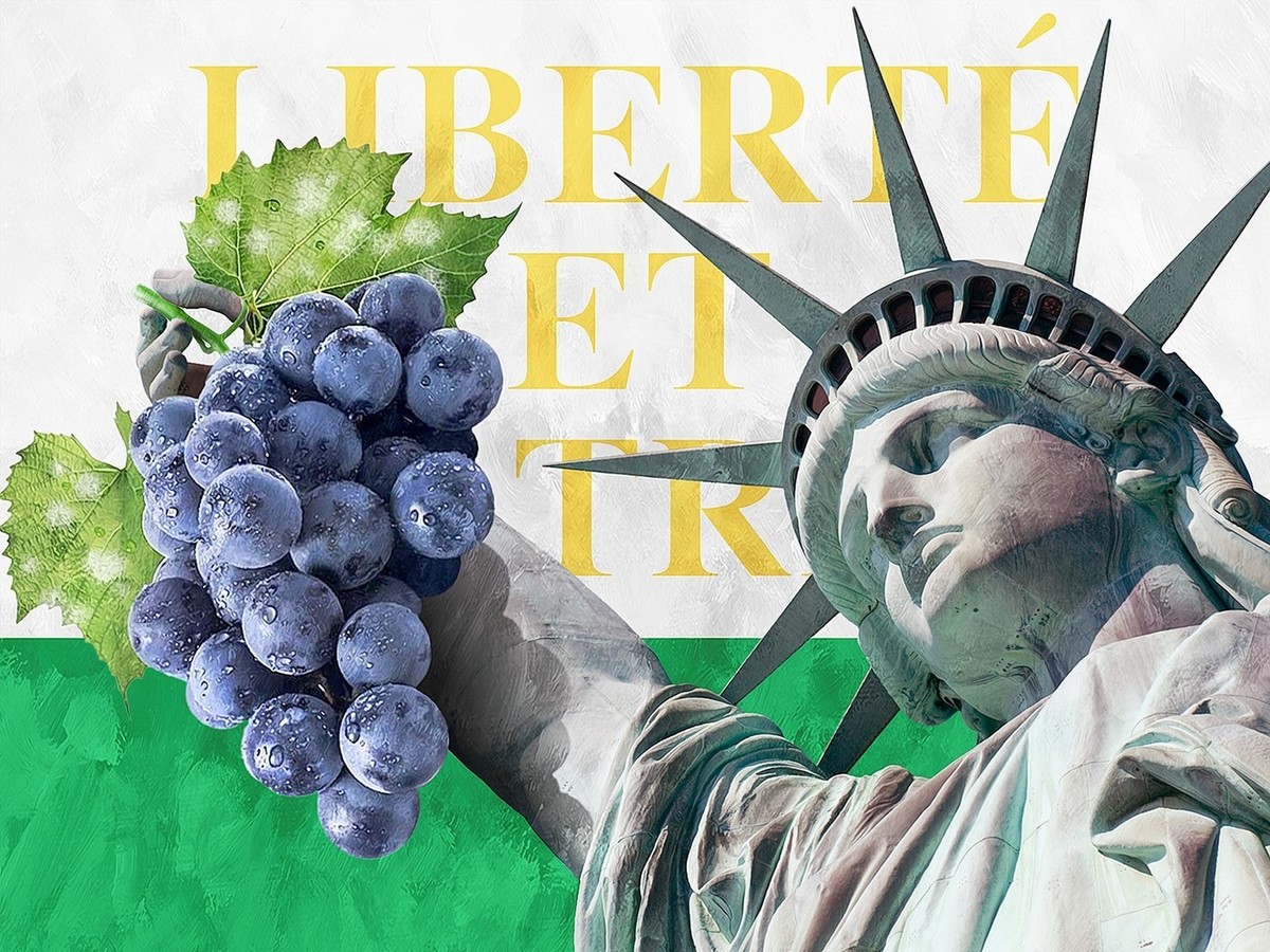 Als ein Waadtländer auszog, um Nordamerika mit seinen Weinkenntnissen zu beglücken... 
https://achtung.be/arbeiten