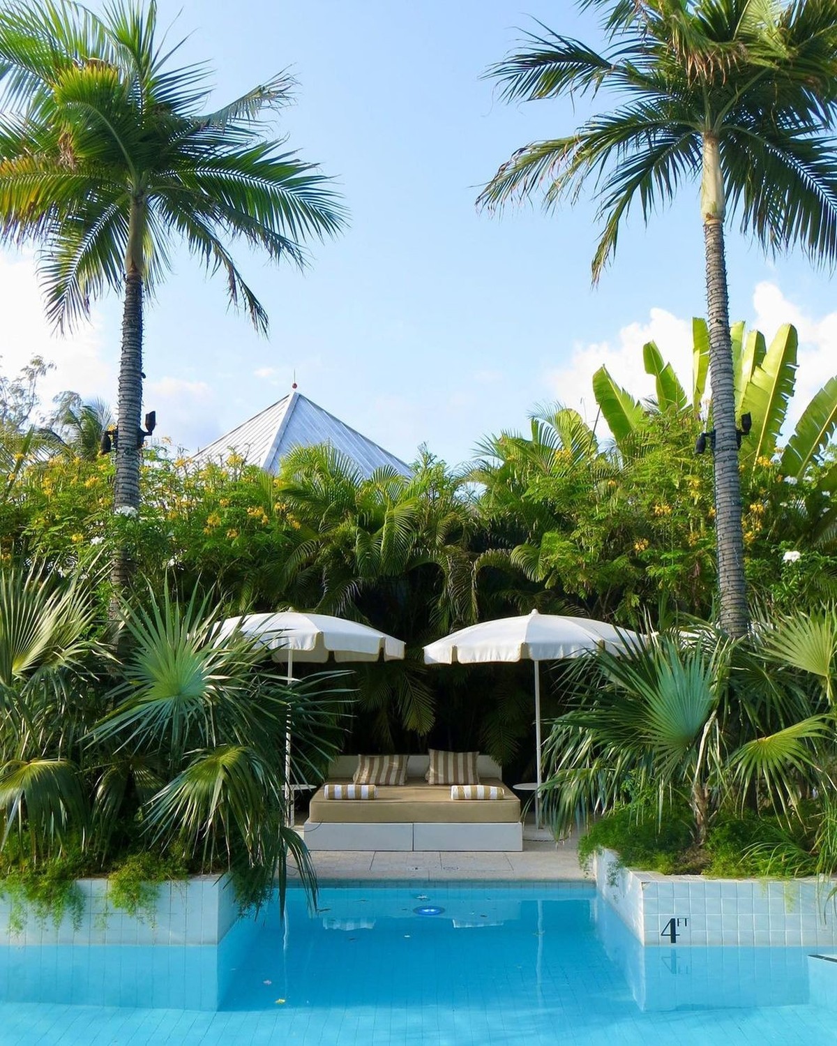 Palm Height