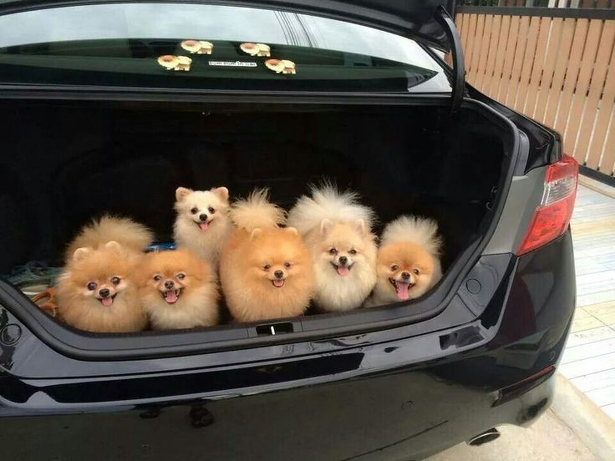 Bild