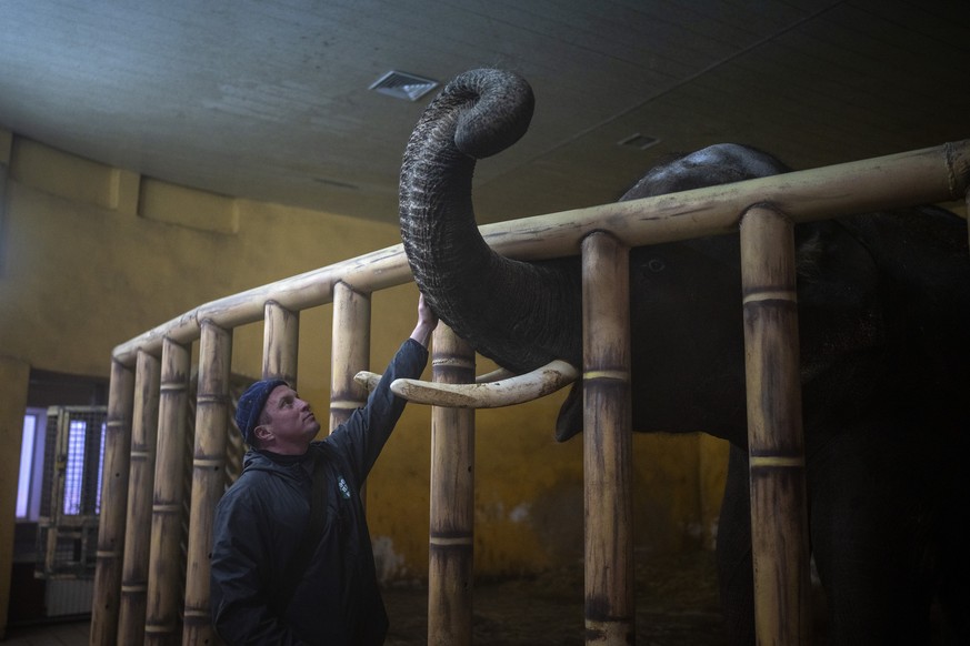 Animal keeper Kirilo Trantin comforts an elephant at the Kiev Zoo in Kyiv, Ukraine, Tuesday, March 1. 2022. (AP Photo/Emilio Morenatti)