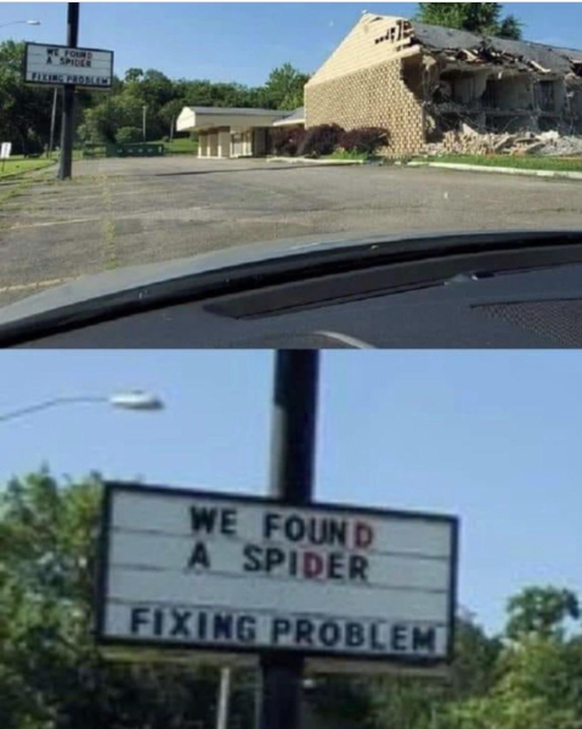 Spider found, house burned down