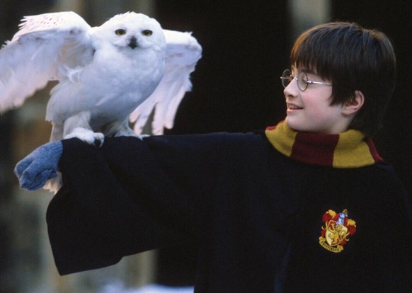 Harry Potter DANIEL RADCLIFFE