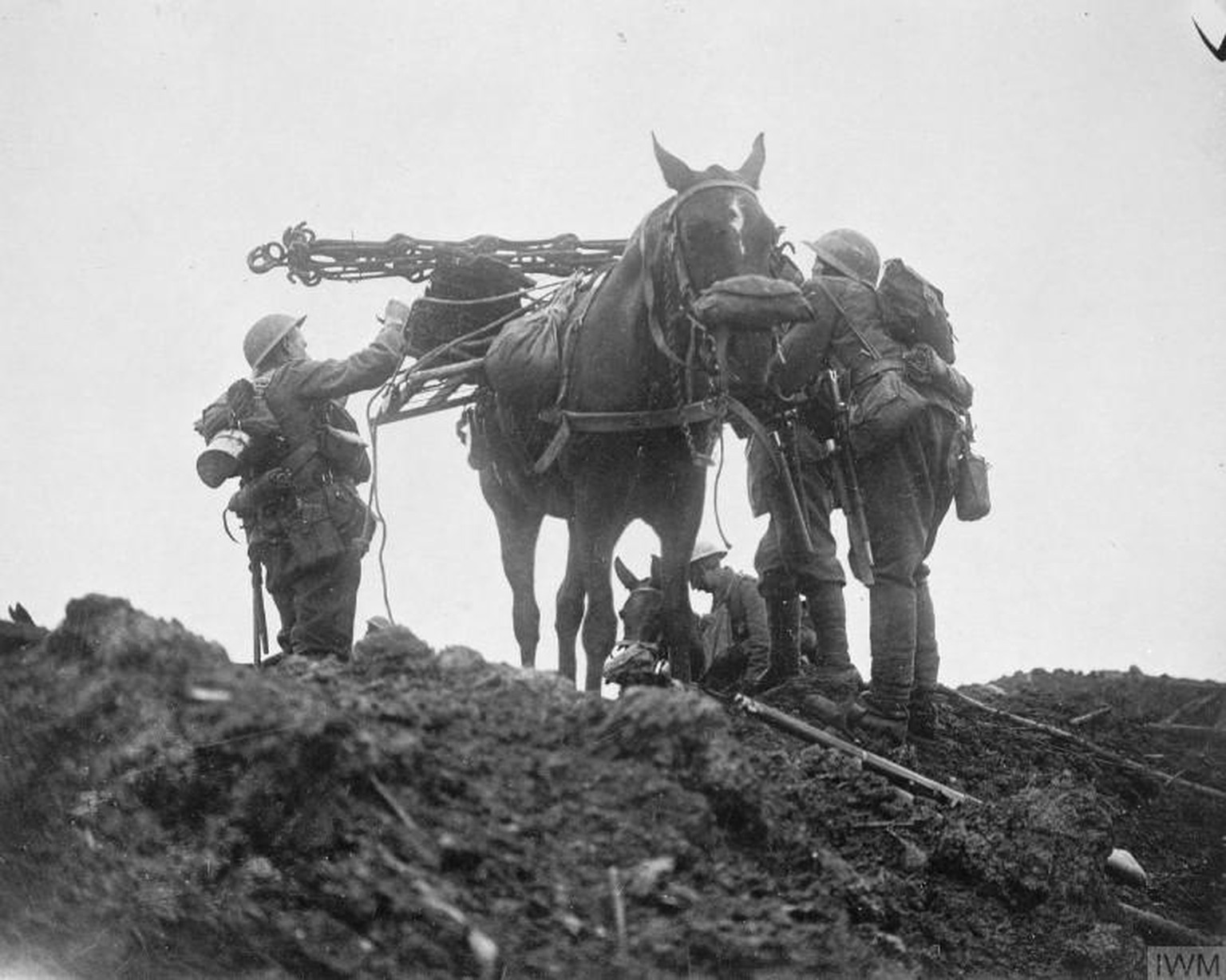 A pack horse with a gas mask is loaded up with equipment during the Battle of Pilckem Ridge, Belgium, 31 July 1917.
https://www.iwm.org.uk/collections/item/object/205193369