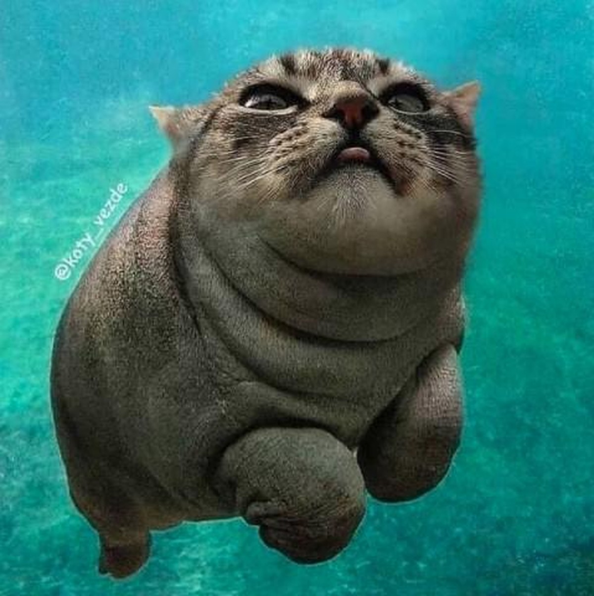 Photoshop-Tiere