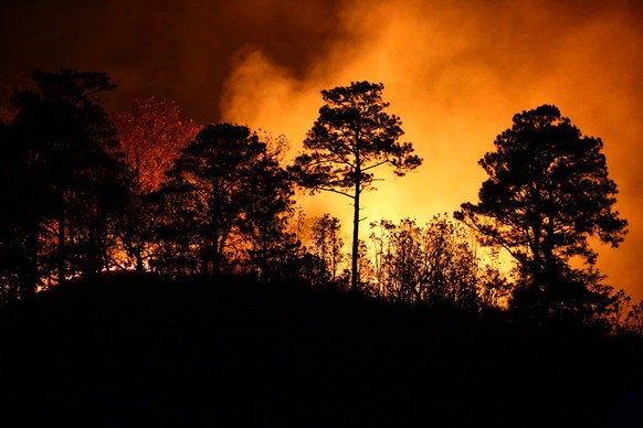epa12006693 A fire burns a forest in the municipality of Santa Lucia, Honduras, 02 April 2025. EPA/GUSTAVO AMADOR