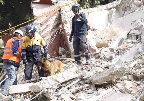 epa06214652 Emergency personnel with a search and rescue dog search for survivors in a collapsed building after a 7.1 magnitude earthquake in Mexico City, Mexico, 19 September 2017. At least 119 peopl ...