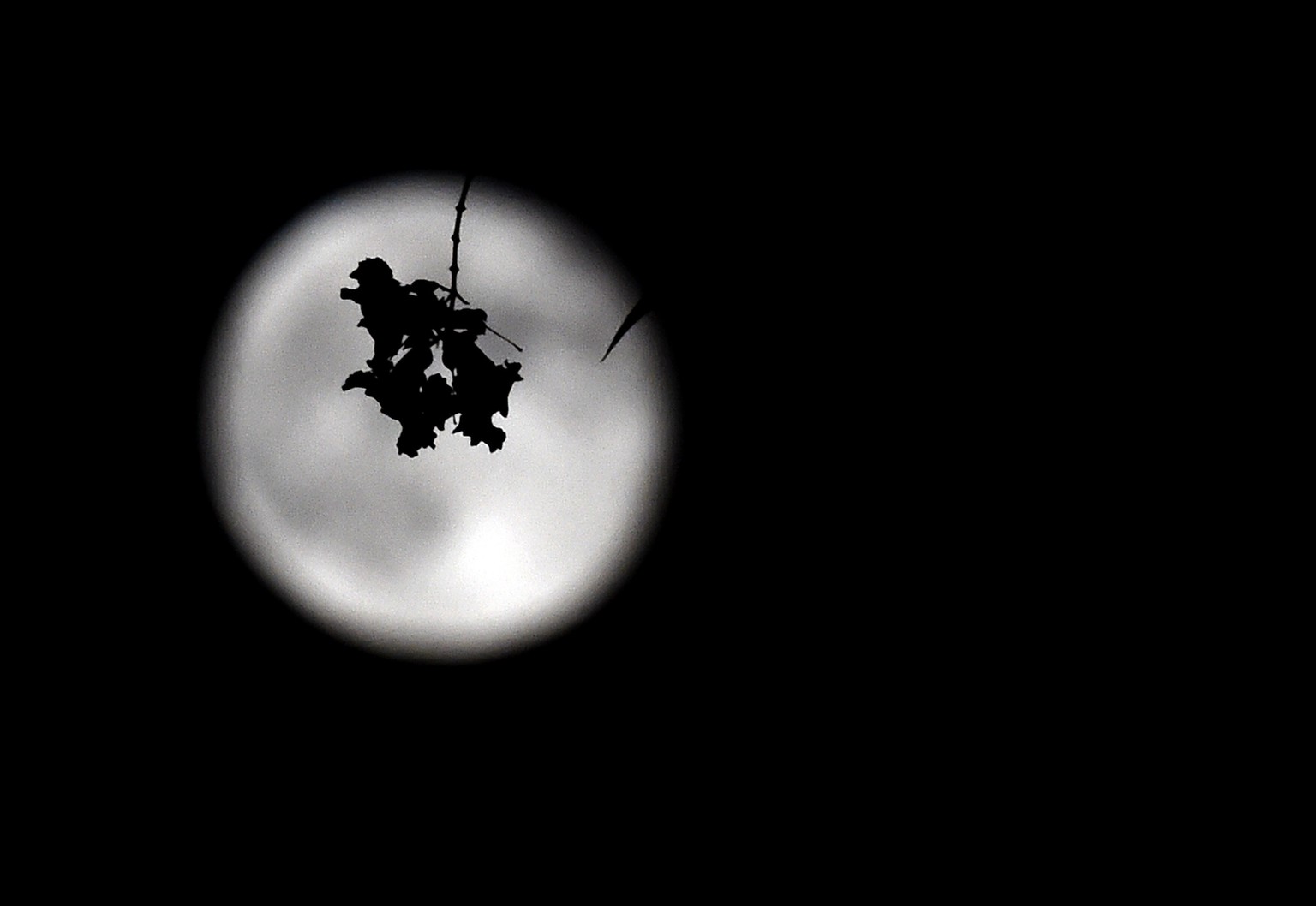 Der Supermond am 9. September 2014 in Las Vegas, Nevada.