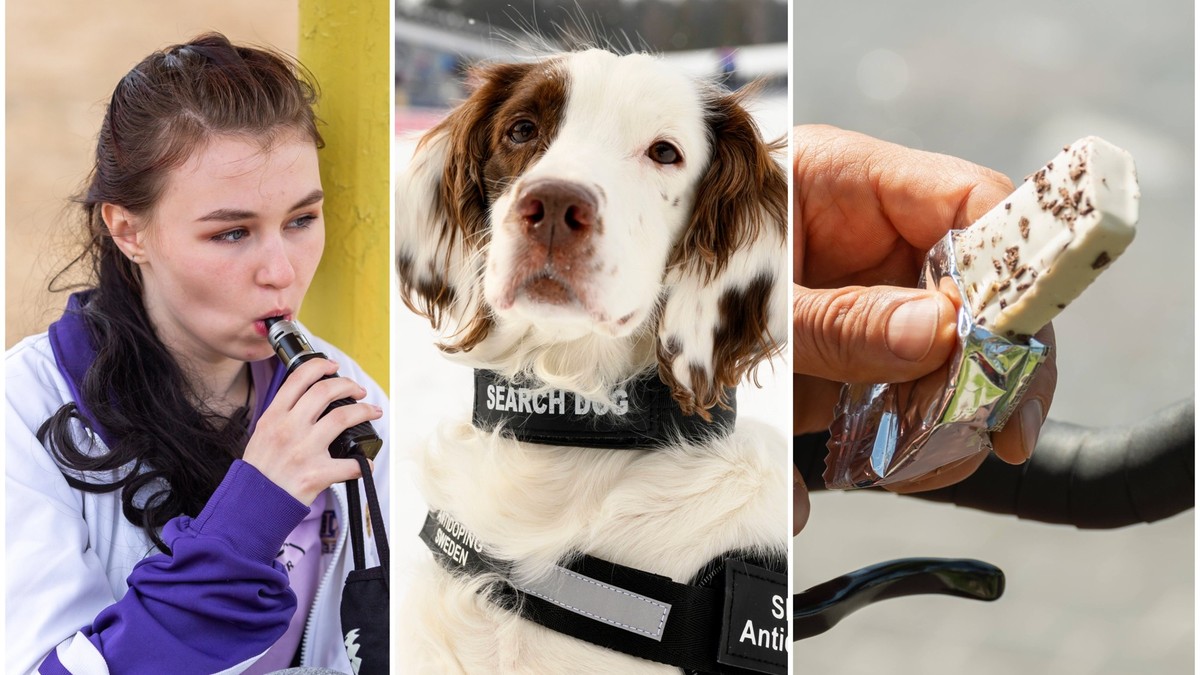 Sex, Hund oder E-Zigarette: Dopinggefahr lauert überall – das wissen auch Betrüger