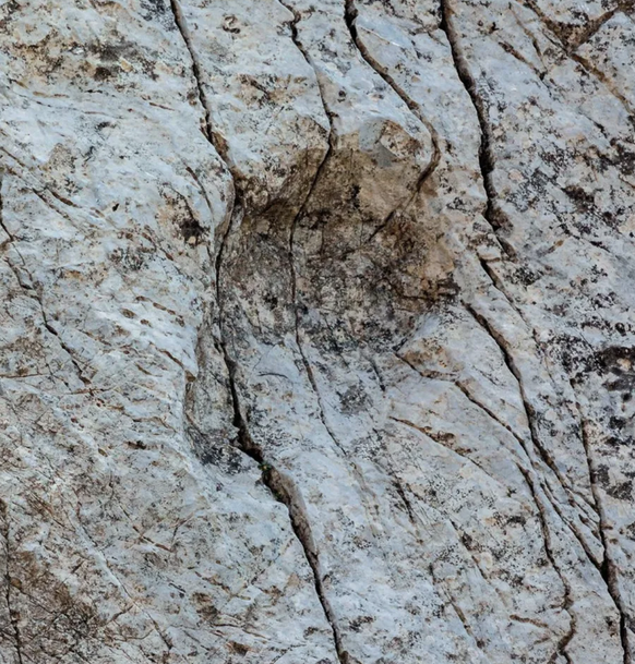 dino spuren Italien / Dolomiten / Nord Italien Dinaosaurier abdrücke