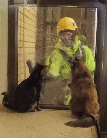 Animiertes GIF
