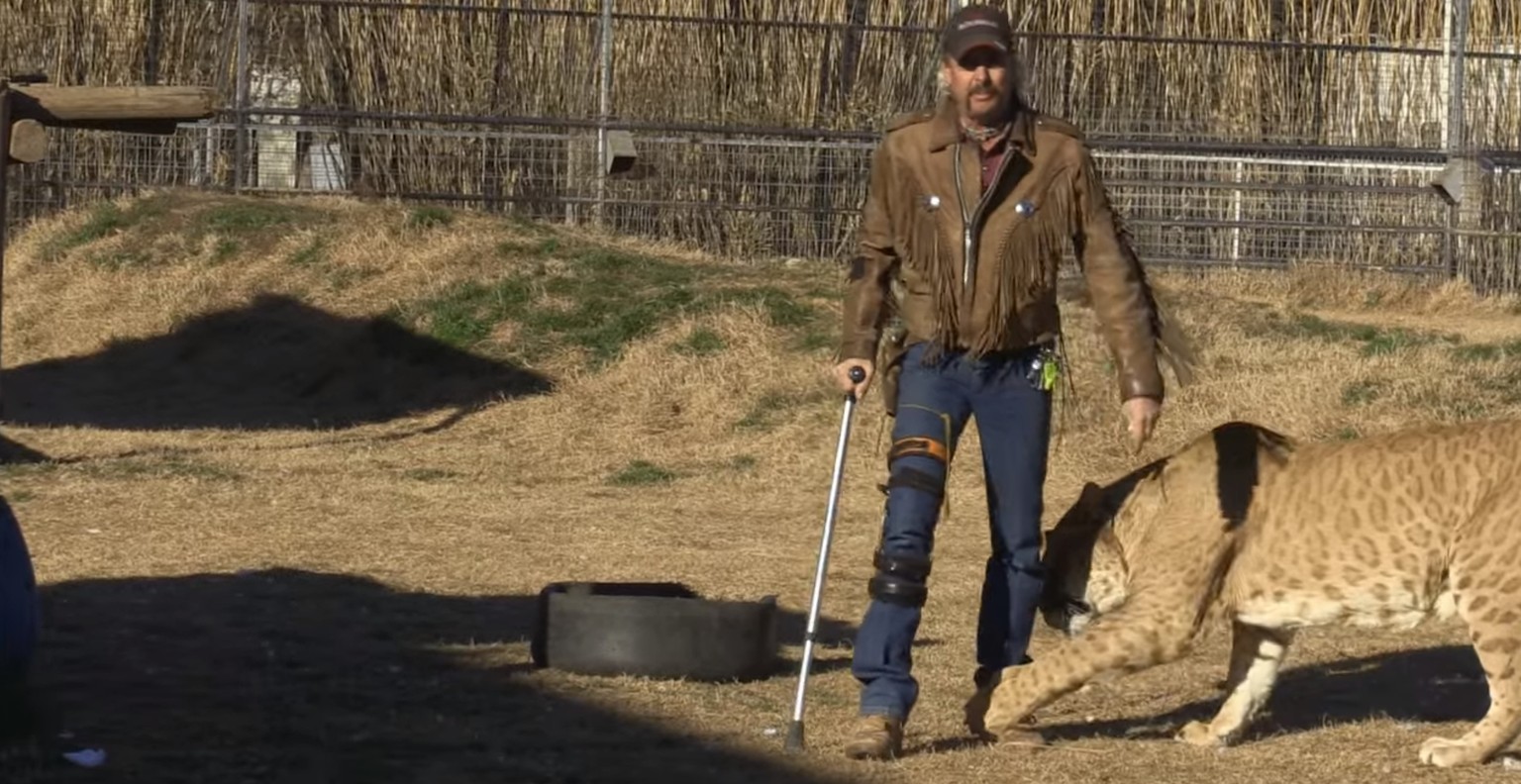 Joe Exotic in einem Käfig voller Raubkatzen (hier mit einem seltenen Liger). «Tiger King» ist Trash, Milieustudie und amerikanischer Überlebenskampf zugleich.