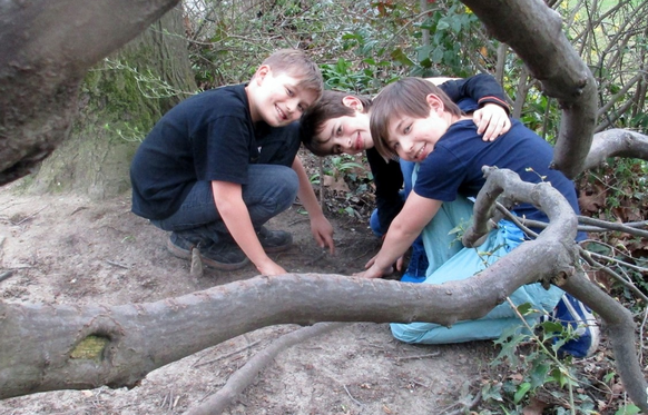 Sie könnten mit ihrem Fund im Hardwald die Geschichte verändert haben: Die Muttenzer Primarschüler Alex, Luca und Andy (v.l.) zeigen auf die Fundstelle.
