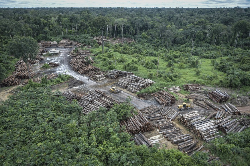 This May 8, 2018 photo released by the Brazilian Environmental and Renewable Natural Resources Institute (Ibama) shows an illegally deforested area on Pirititi indigenous lands as Ibama agents inspect ...