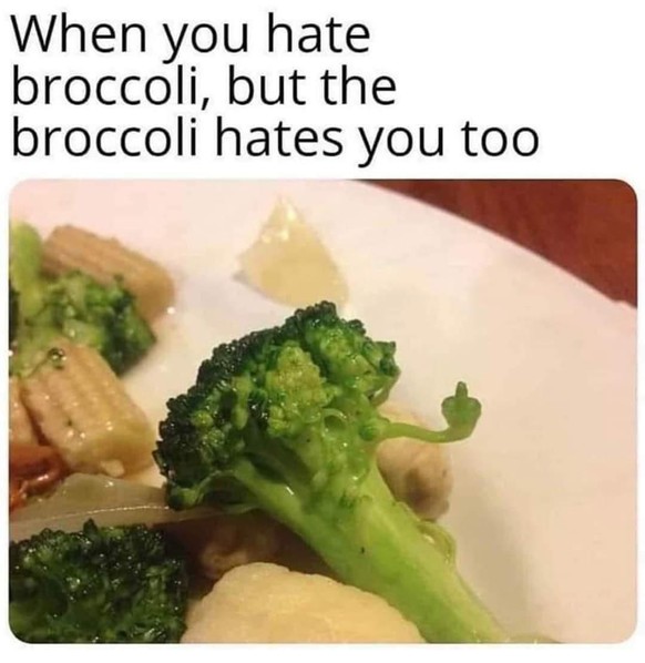 Hereinspaziert! PICDUMP!
рџҐ¦рџҐ¦
