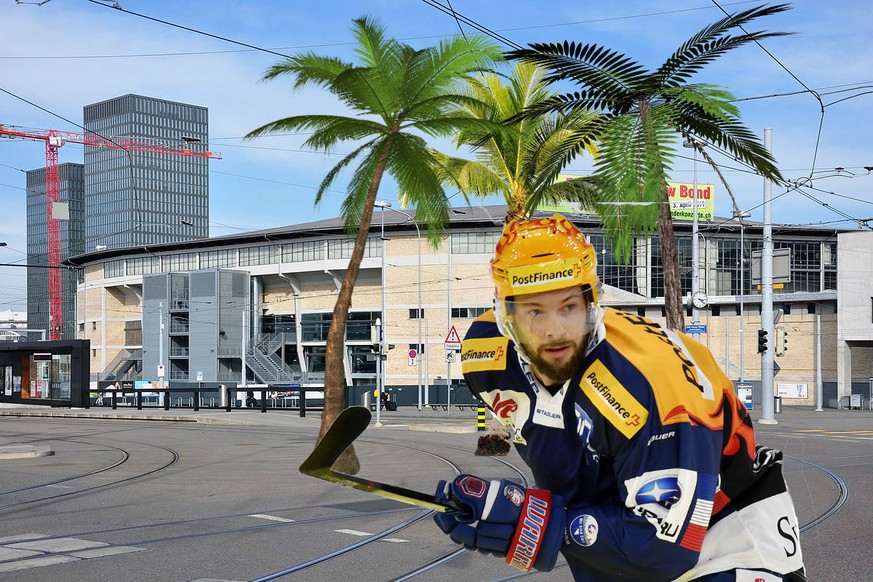 Robert Nilsson und die Palmen von Oerlikon.