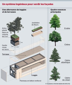 Bepflanzungssystem für die Tour des Cèdres.