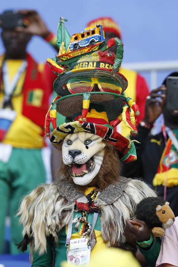 A supporter of Senegal wears a custume prior to the group H match between Senegal and Colombia, at the 2018 soccer World Cup in the Samara Arena in Samara, Russia, Thursday, June 28, 2018. (AP Photo/E ...