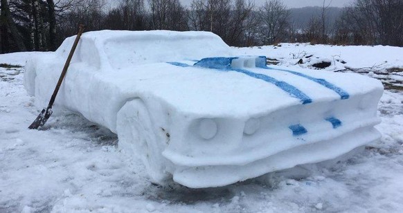 Schneefordmustang