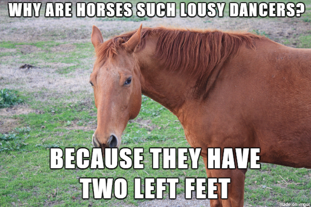 dad jokes