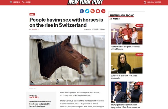 Pferd hat sex
