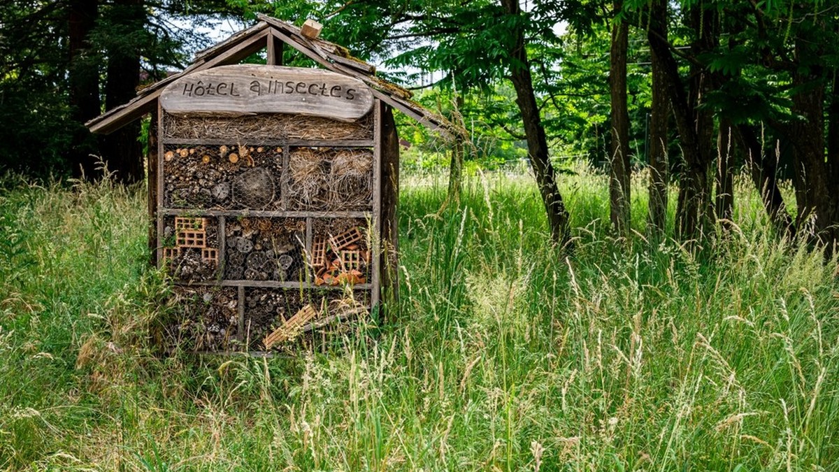 Nisthilfen Biodiversität Garten