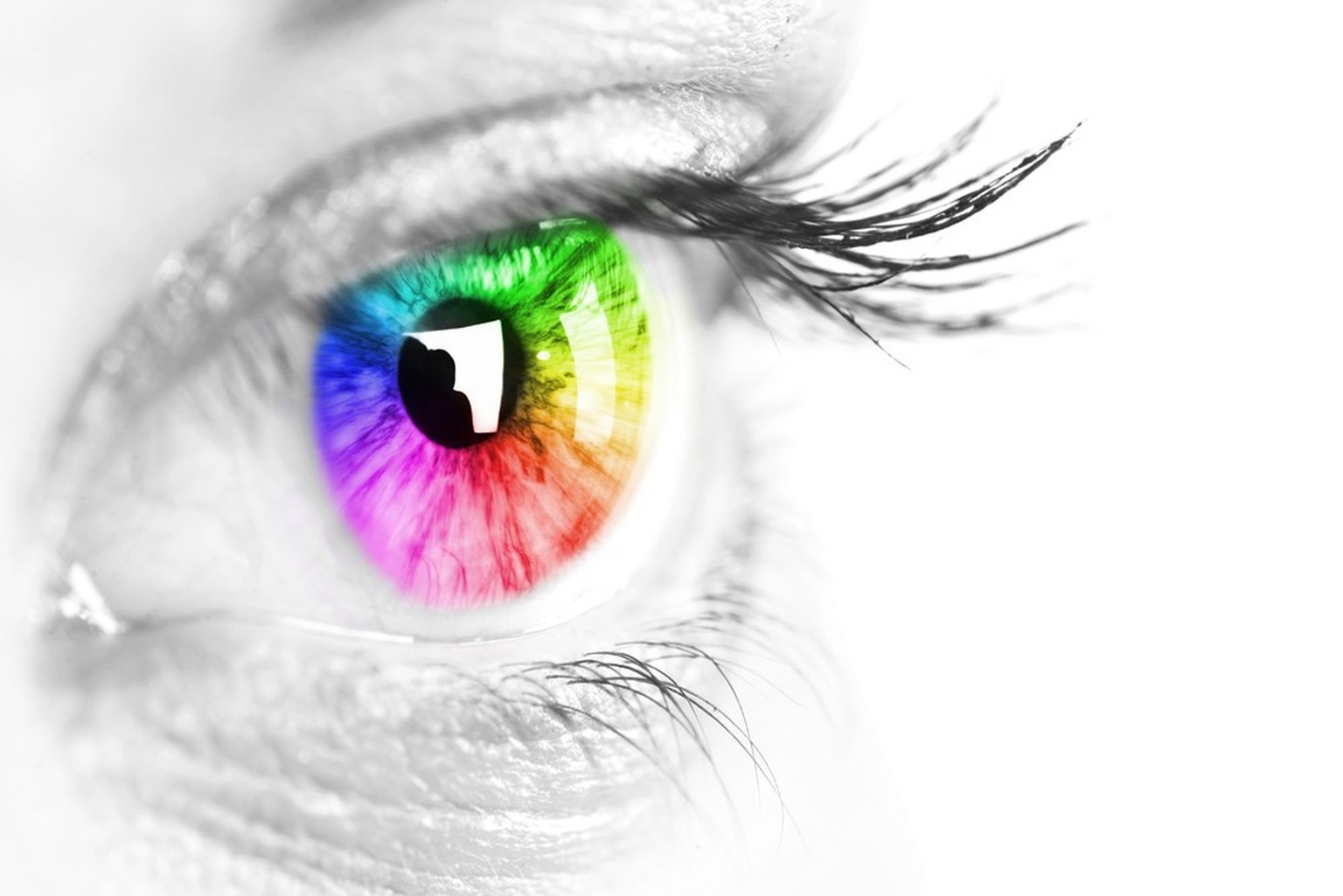 Auge mit Farben