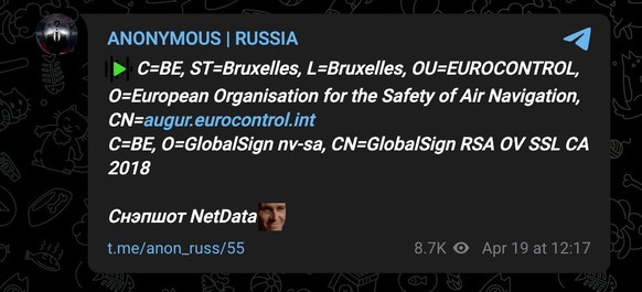 Dieser Screenshot stammt aus einem Kanal, der von den Betreibern «Anonymous Russland» genannt wird.