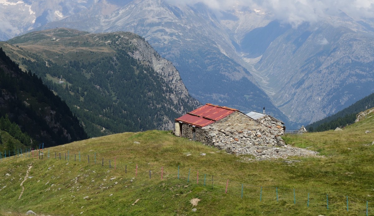 Reportage von der Alpe Nanztal im Kanton Wallis. Schäfer Oliver Gottsporn zeigt seine Schwarznasenschafe und erzählt, warum der Wolf ihm das Leben schwer macht.