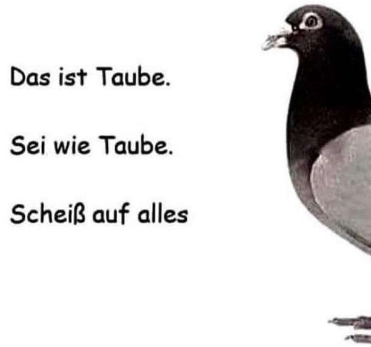 Und ob ihr wirklich richtig steht, seht ihr ... Jetzt! PICDUMP!\n«Und denk dran: Wenn du denkst, dass DEIN Tag Kacke läuft...»
..... :)