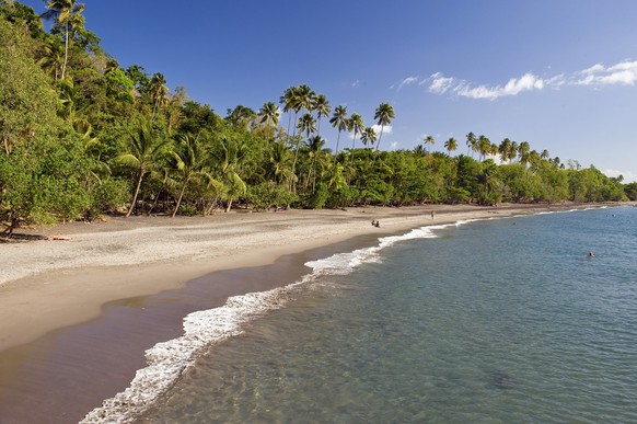 Anse Couleuvre Beach auf Martinique: Die Blumeninsel gehört zu den kleinen Antillen und ist ein Paradies für Wassersportler – ob Taucher, Segler, Surfer, Jetski- oder Wasserski-Fahrer.